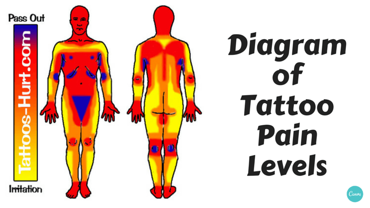 3-Minute Hacks - A Guide to Tattoo Pain Levels for Women | Facebook